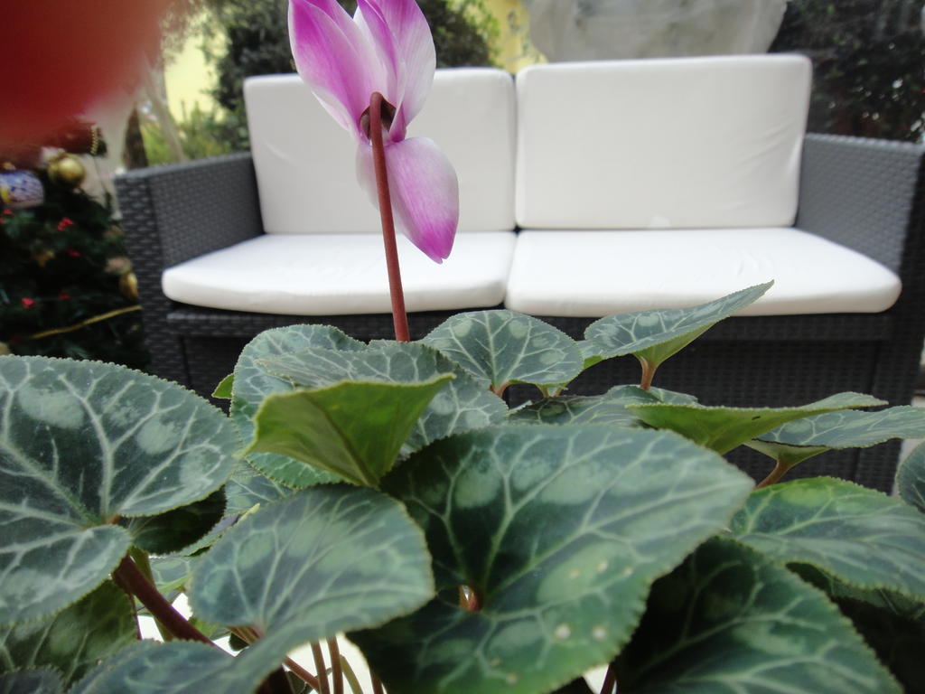 Residenza Cieloterra Guest House Rivotorto Luaran gambar
