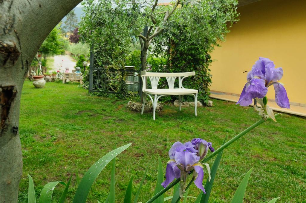 Residenza Cieloterra Guest House Rivotorto Luaran gambar